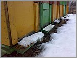 pic_002.jpg
