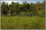 pic_004.JPG