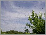 pic_009.JPG