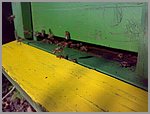 pic_017.jpg
