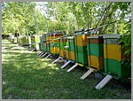 pic_018.jpg
