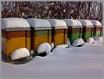 pic_029.jpg