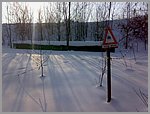 pic_032.jpg